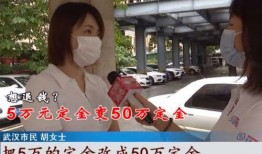 武汉叶女士最新爆料,揭露惊人内幕，事件真相再引热议