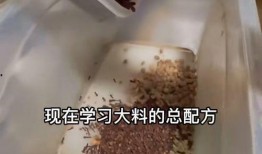 最新大料爆料配方大全,独家配方大全大公开！