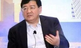 徐小平爆料视频大全最新,揭秘娱乐圈幕后真相与惊人内幕