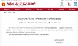 甘井子区最新爆料视频,现场实况直击