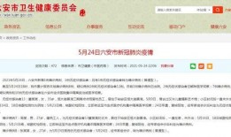 六安新闻最新爆料,揭秘重大事件背后真相，最新爆料震撼来袭！