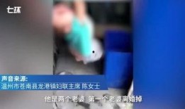 七环视频爆料最新版,揭秘神秘事件内幕