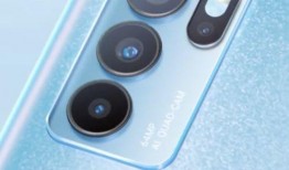 鸡东爆料真实事件视频最新,惊曝真实事件视频，真相令人震惊！