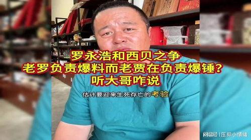 乐播老贾爆料新闻最新消息,最新热点事件深度解析